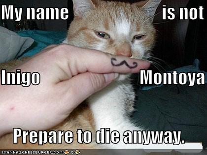 Funny-Pictures-Mustached-Princess-Bride-Cat