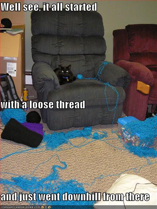  2008 11 Funny-Pictures-Cat-Has-Unraveled-All-Your-Thread