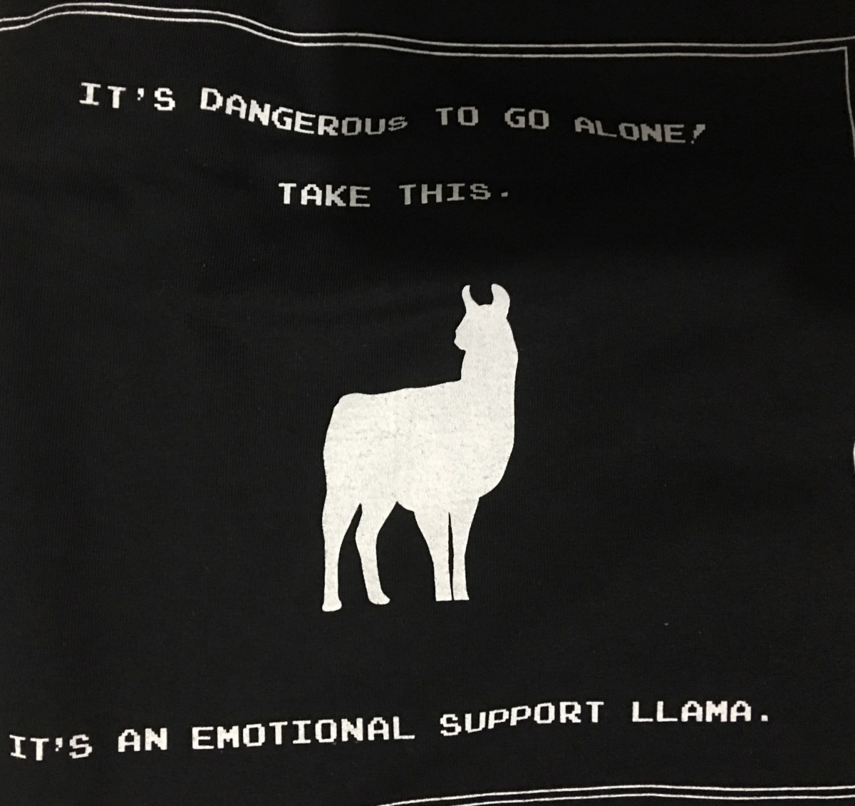 It is dangerous to go&nbsp;alone